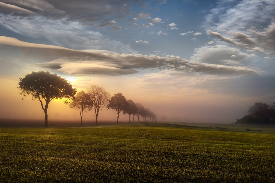 5 Pillars For Successful Marketing Campaign: vol. II